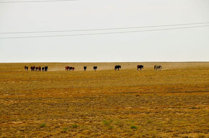 Kazakhstan - Asie Centrale